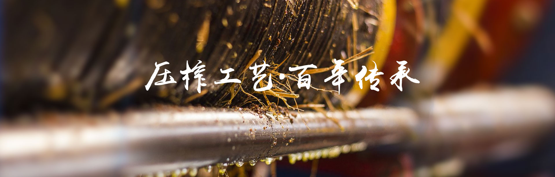 2121非凡_油茶种植出产加工销售|植物油种植出产加工销售 2121非凡_油茶种植出产加工销售|植物油种植出产加工销售
