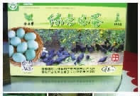 2121非凡,油茶种植出产加工销售,植物油种植出产加工销售