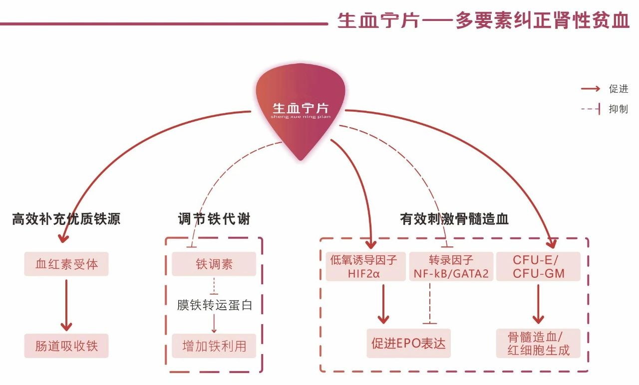 银河国际·Galaxy(中国)-官方网站